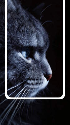 精美图文壁纸大全(2)