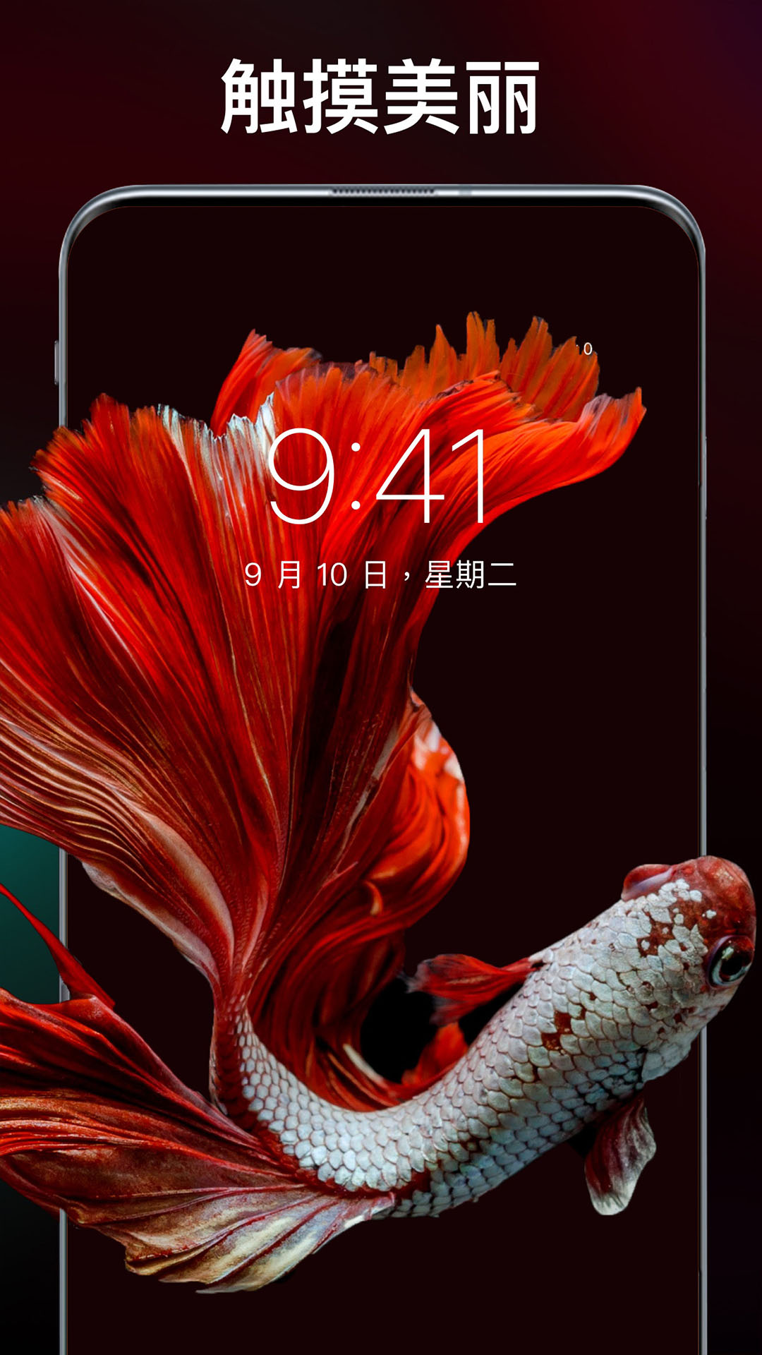 主题刘海壁纸手机软件(2)