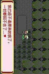 口袋妖怪迷失夜6手机版(3)