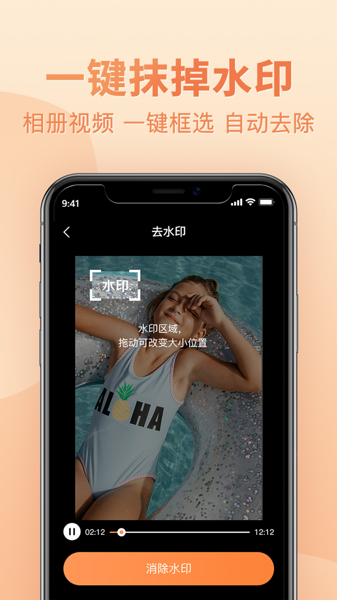 大白视频去水印(4)