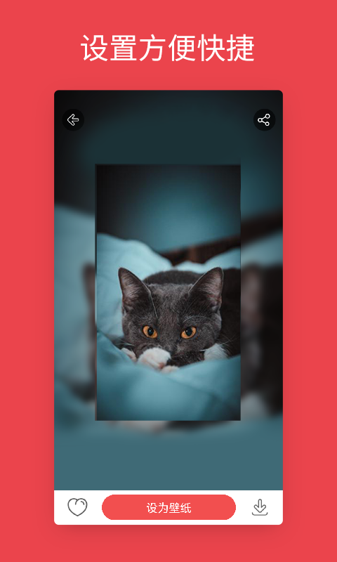 安卓动态壁纸(1)