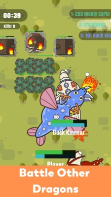 飞龙在天大乱斗(3)