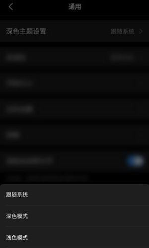 解锁深色模式(1)