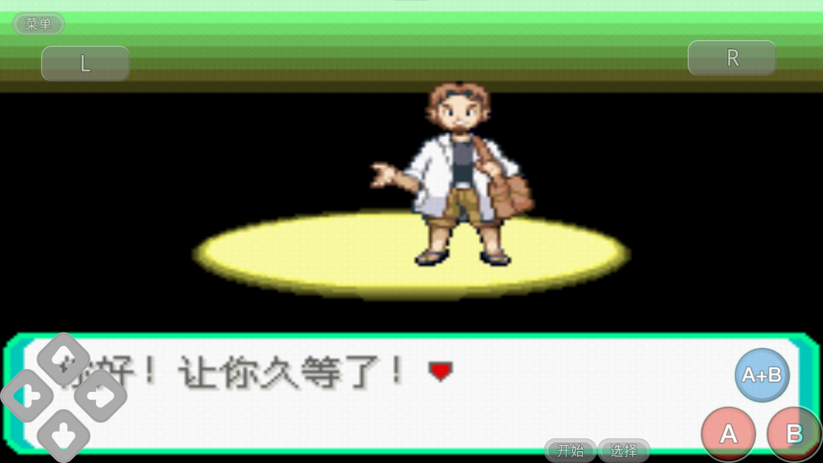 口袋妖怪究极绿宝石小智版(3)