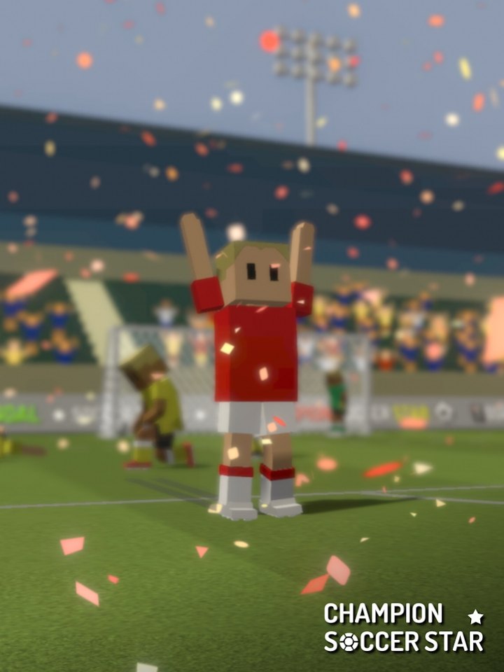 冠军足球明星(4)