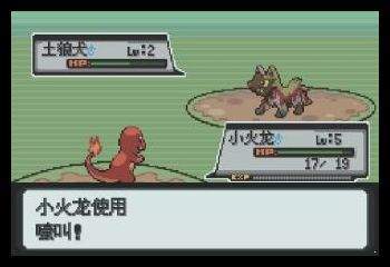 口袋妖怪白金版(2)