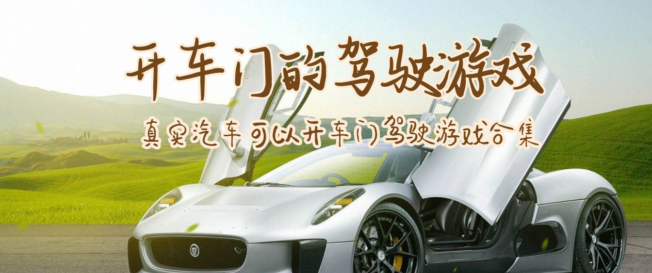 真实汽车可以开车门驾驶游戏合集