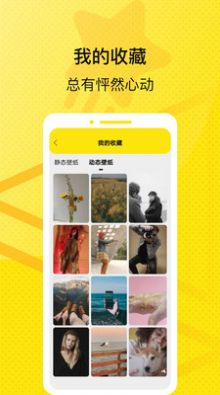 星星壁纸相机(4)