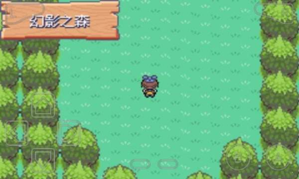 口袋妖怪漆黑的魅影手机版(2)