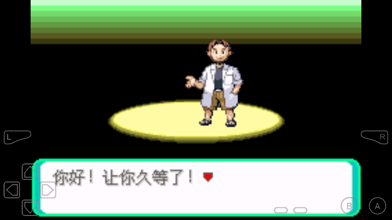 口袋妖怪绿宝石随机版(2)