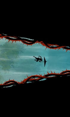 忍者武士岚2安卓版(3)