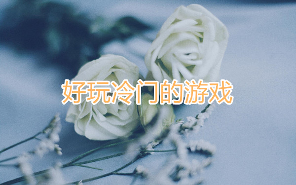 好玩冷门的游戏