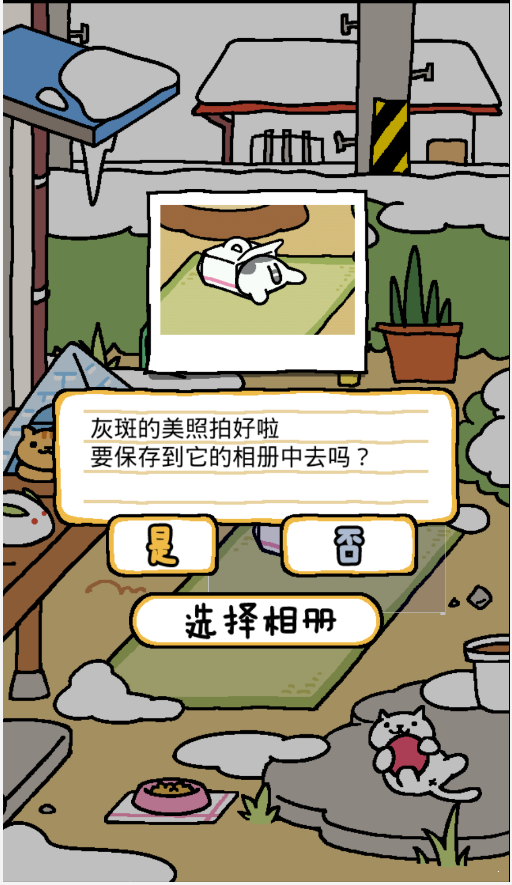 猫咪后院(1)