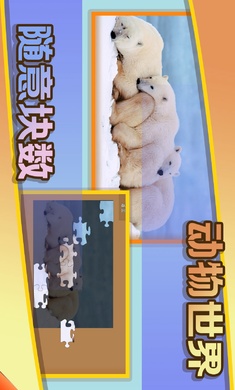 史上最全拼图(5)