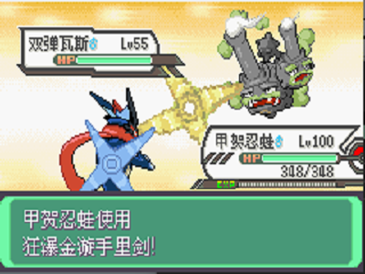 口袋妖怪究极绿宝石4小智版(5)