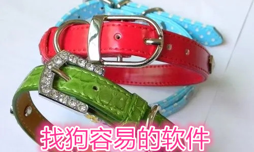 找狗容易的软件