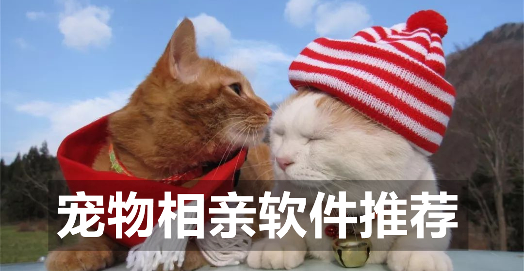宠物相亲软件推荐
