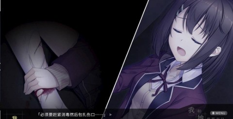 我和她的世界末日手机版(3)