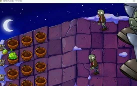 植物大战僵尸1原版(3)