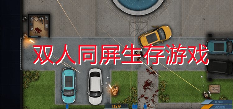 双人同屏生存游戏