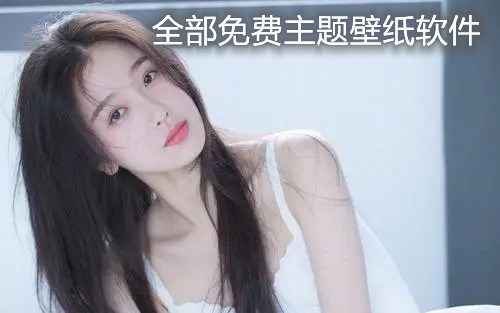 全部免费主题壁纸软件