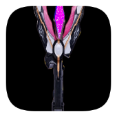 黑暗特利迦火花（先行版）