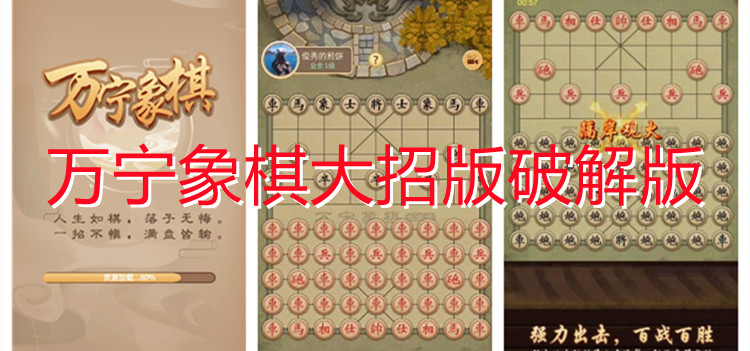 万宁象棋大招版最新版