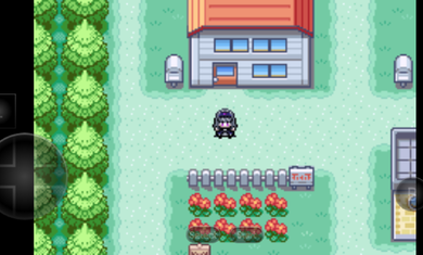 口袋妖怪火红萌版(2)