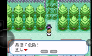 口袋妖怪火红萌版(3)