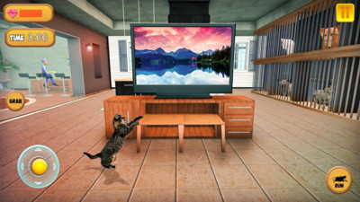 猫咪模拟器2021(1)