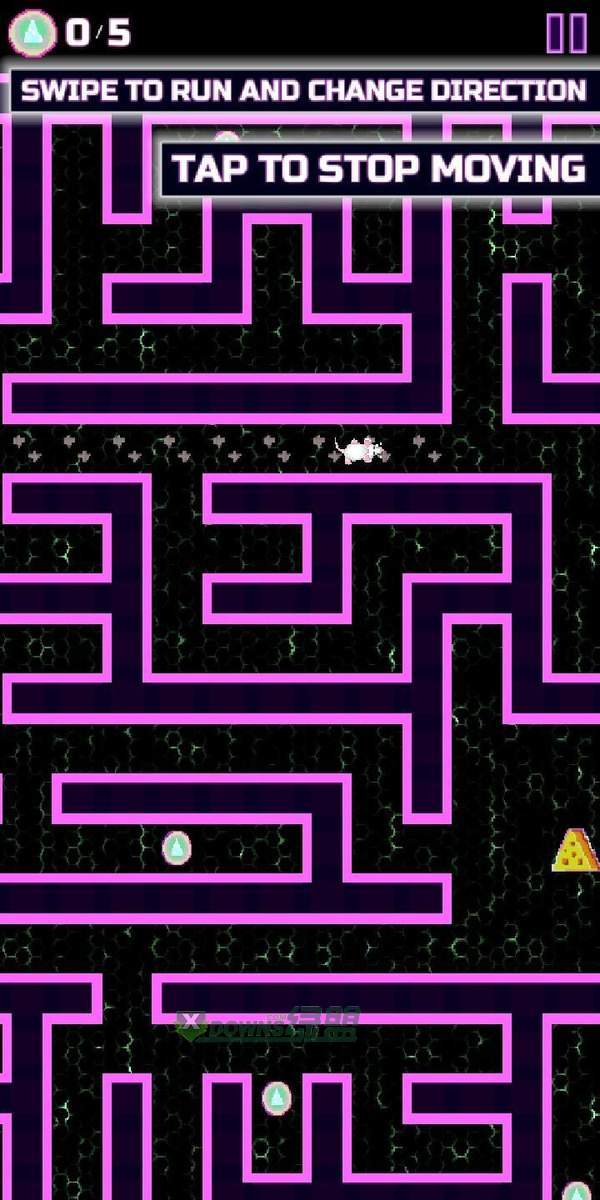 老鼠迷宫找奶酪(2)