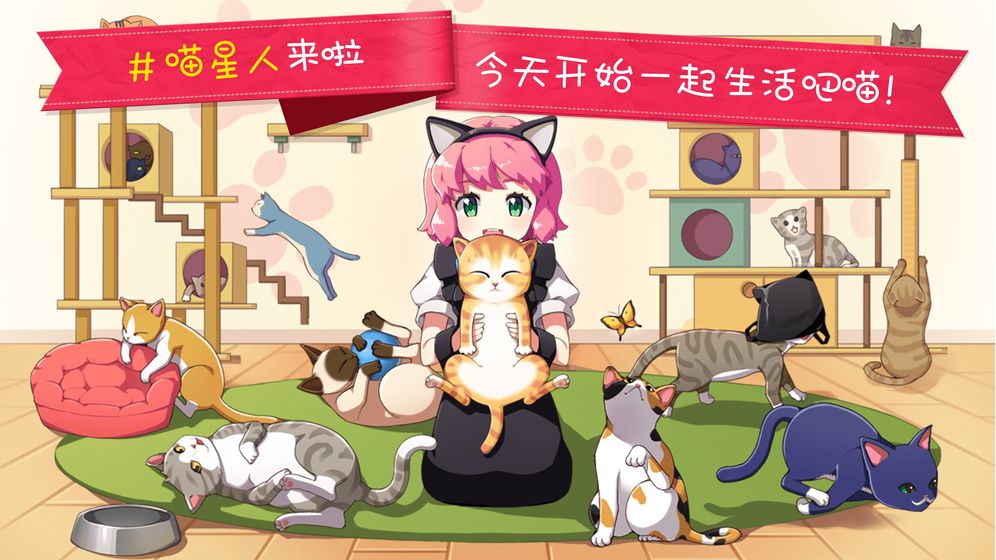 猫猫咖啡屋(1)