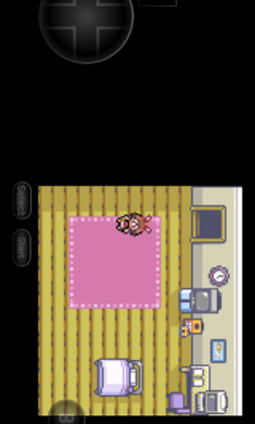 口袋妖怪日月宝石八木特别篇(1)