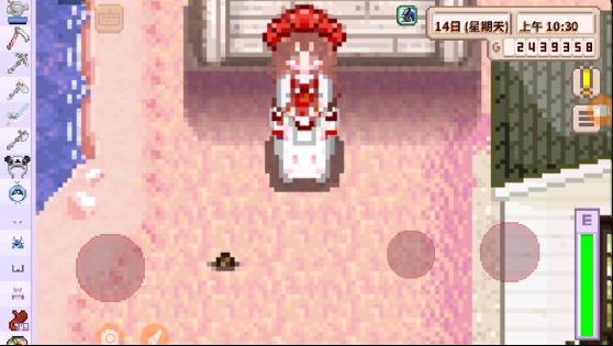 星露谷物语法师结婚mod(2)