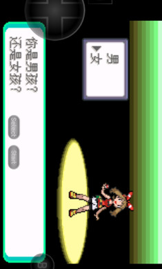 口袋妖怪日月宝石八木特别篇(4)