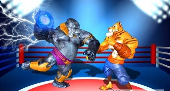 野生动物职业拳击(3)
