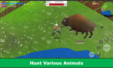 荒地野外生存(2)