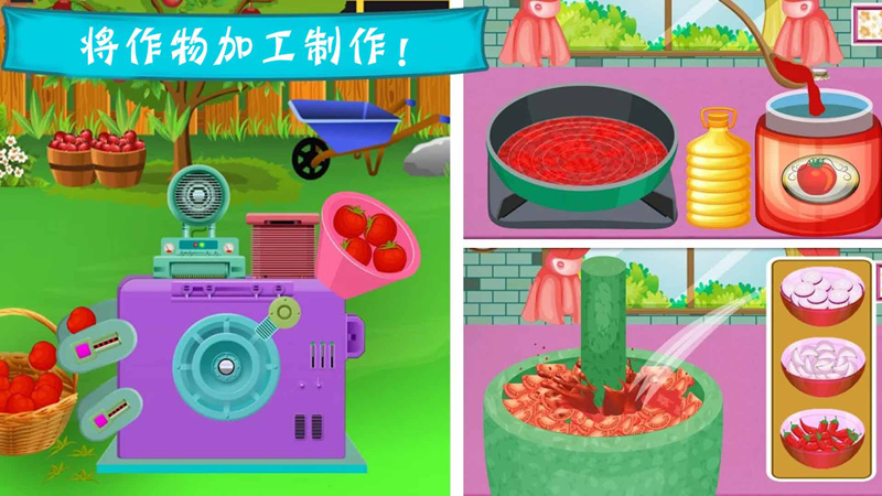 托卡农场乐园(4)