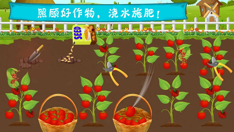 托卡农场乐园(1)