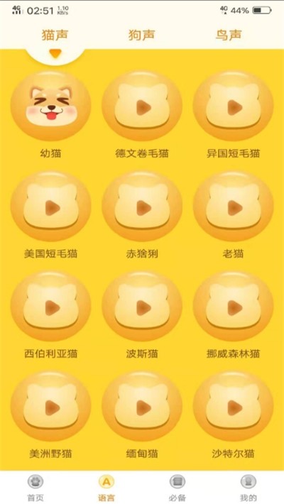 八哥鸟语翻译器中文版(1)