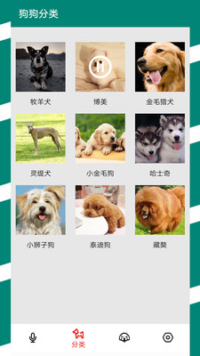 汪汪狗语翻译(1)