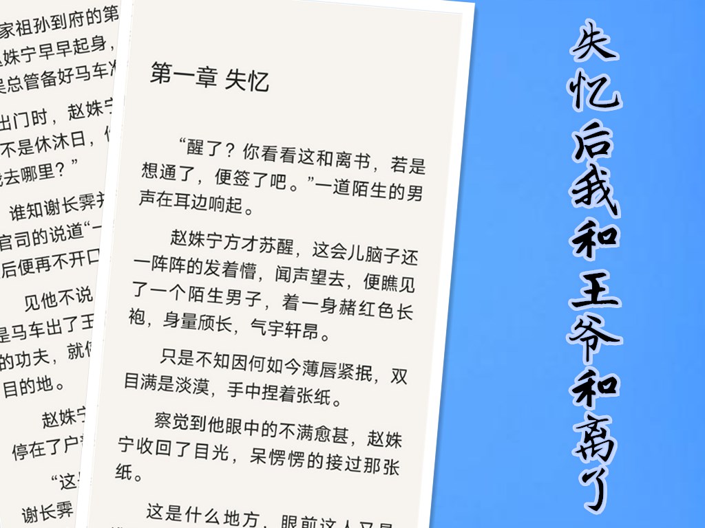失忆后我和王爷和离了全文免费阅读软件