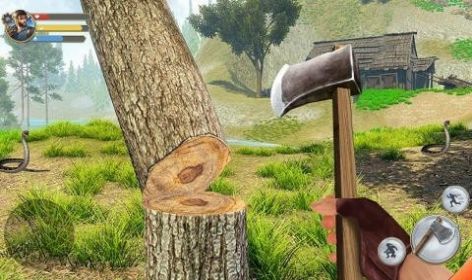 荒野废土求生(1)