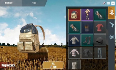 和平精英开箱模拟器(4)