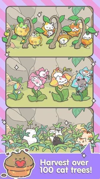 我的猫咪盆栽(4)