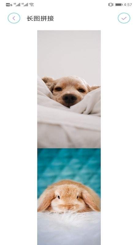拼长图大师(2)