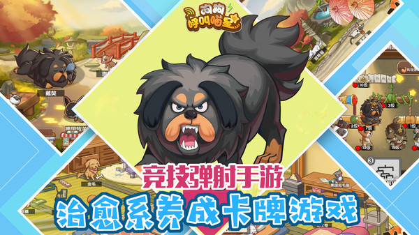 狗狗呼叫喵星(2)