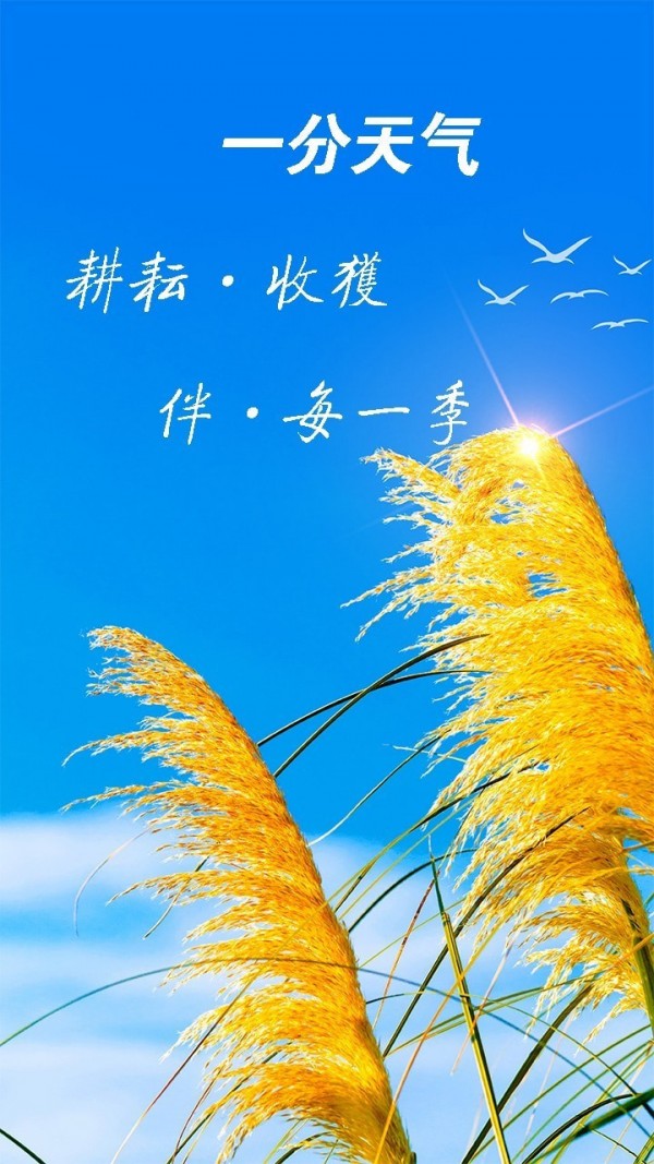 15日实时精准天气预报(3)