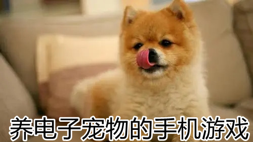 养电子宠物的手机游戏
