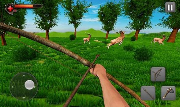 最终的野外逃生(2)